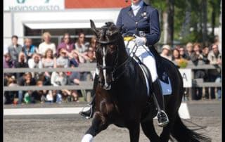 Ypäjä, hevosopisto, horse riding school.