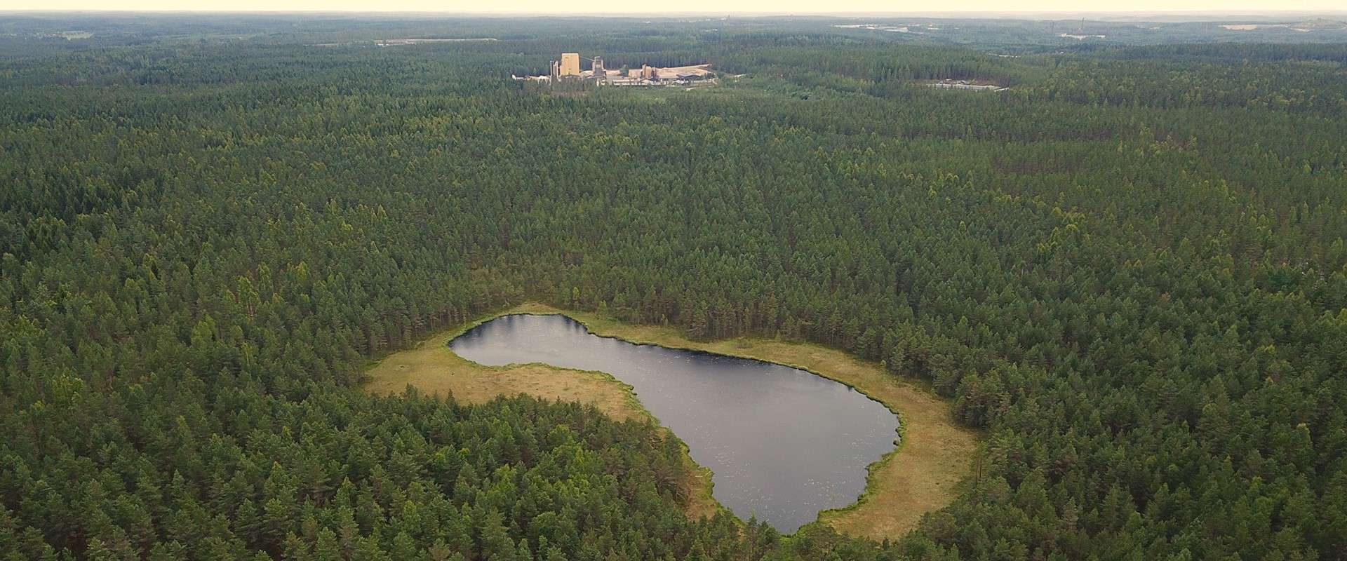 Hausjärvi, metsä, forest.