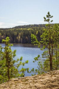 Sibelius_forest_view_from_the_cliffs