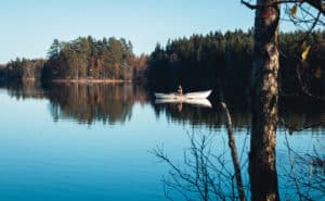 Liesjärvi_national_park_lake