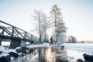TOP10_Forssa_Liesjärven_kansallispuisto_talvi_kyynäränharjun_silta