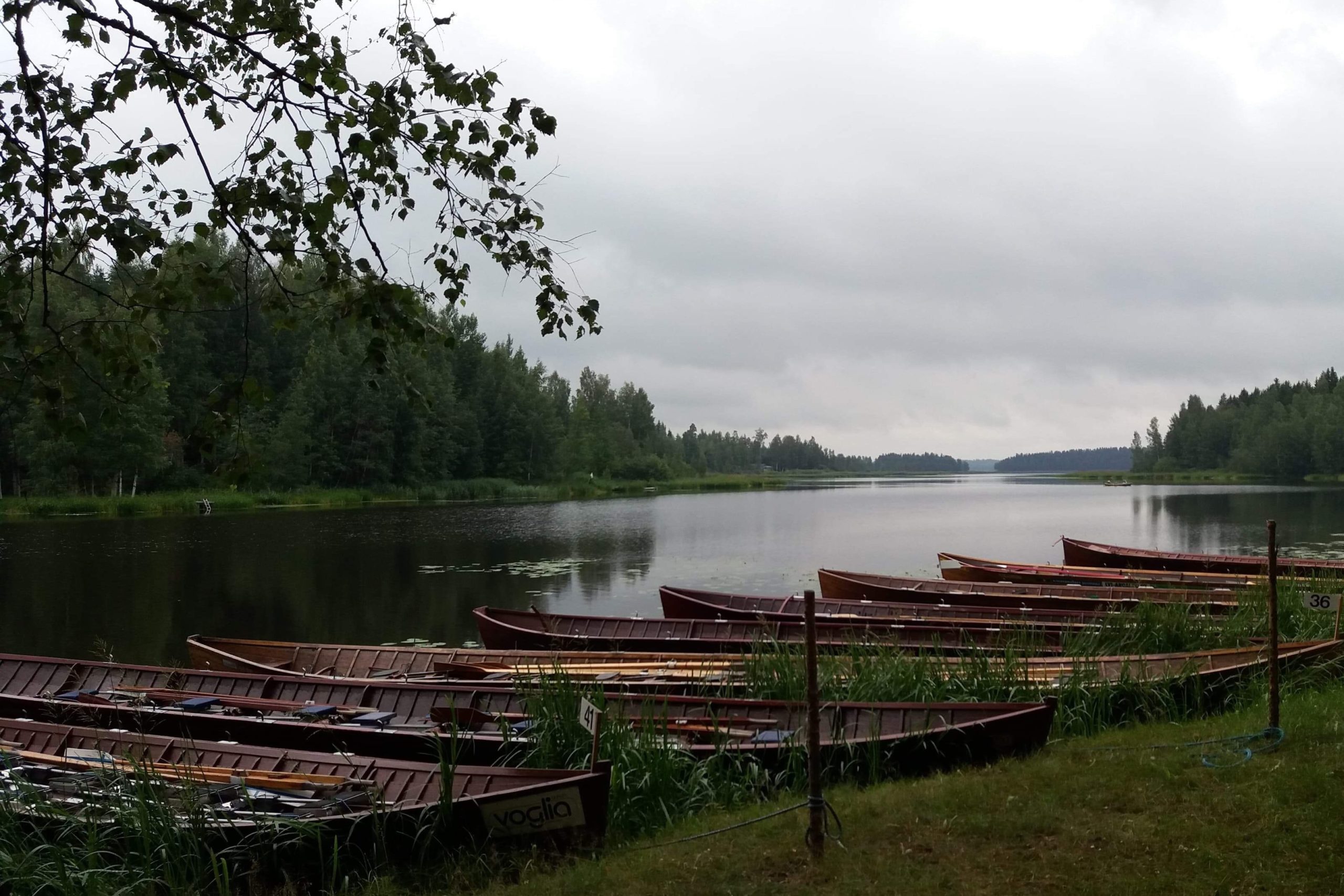 Haminankylä-Mommilanjarven-soutelu-2019-Markku-Juhola