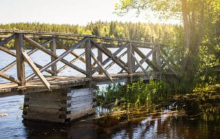 Tammela_liesjärven_kansallispuisto