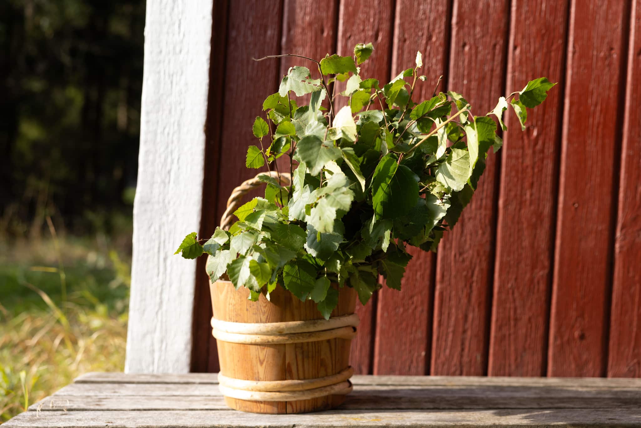 Saunavihta puuämpärissä.