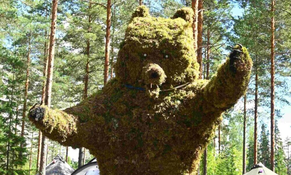 Sustainable bear made by scouts in campsite