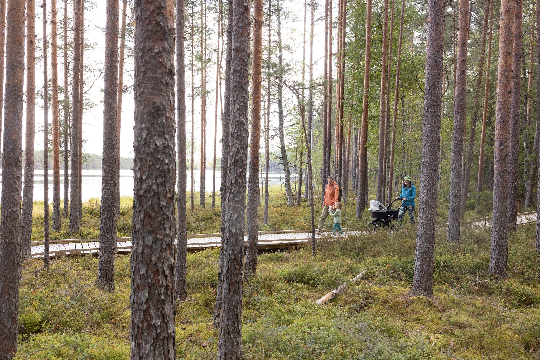 Kaksi naista kulkee lastenvaunujen kanssa metsässä esteettömällä reitillä.