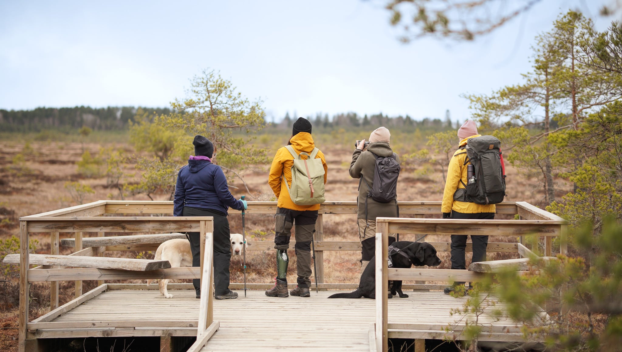Neljä ihmistä seisoo puurakenteisella tasanteella katselemassa suoalueelle.