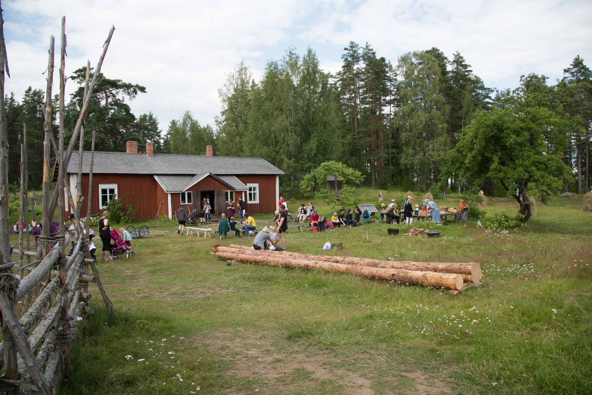 Neljä ihmistä kävelemässä suomaisemassa pitkospuilla, takana korkeita puita, joiden välistä pilkistää auringonsäteitä.