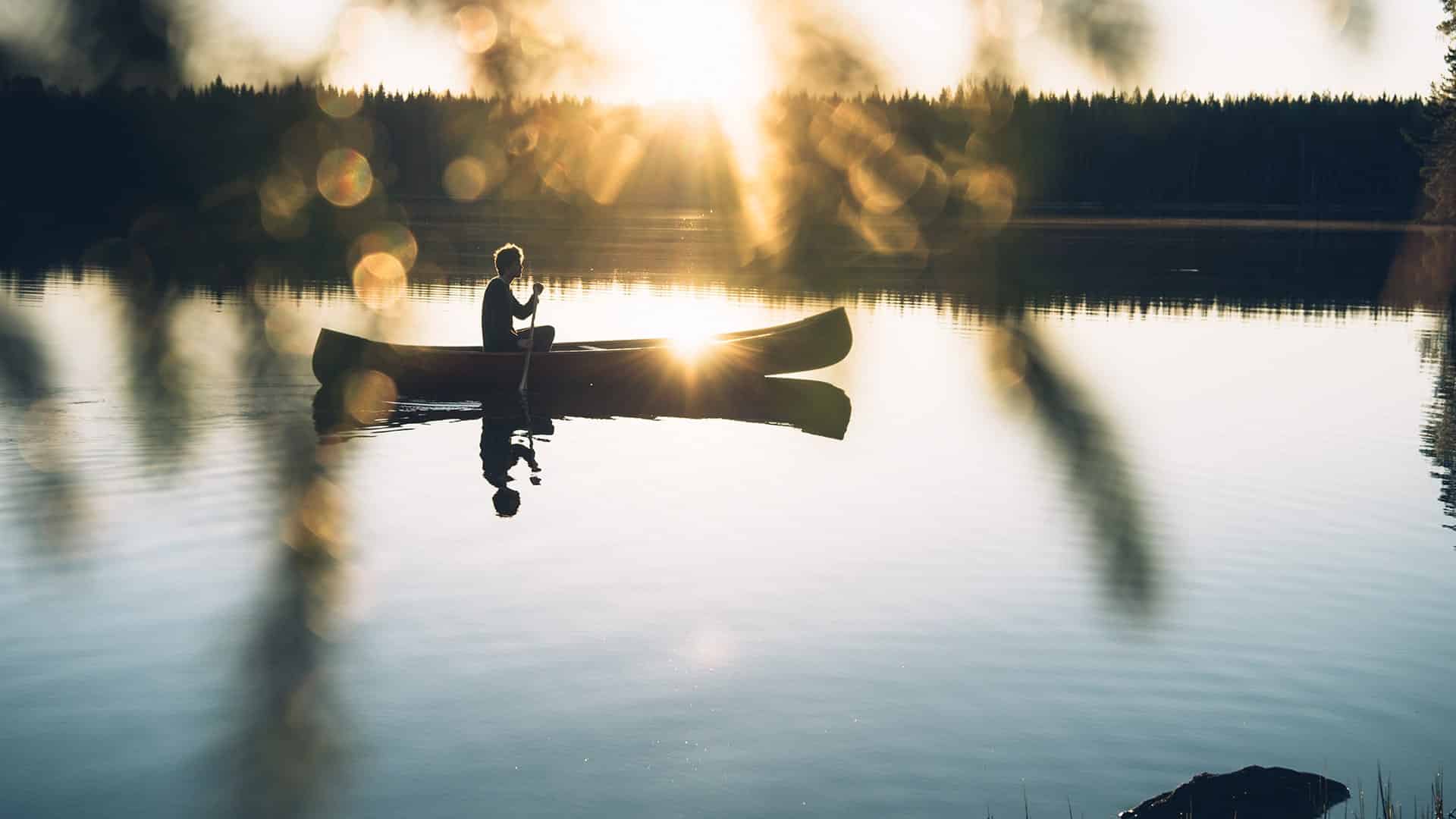 Neljä ihmistä kävelemässä suomaisemassa pitkospuilla, takana korkeita puita, joiden välistä pilkistää auringonsäteitä.