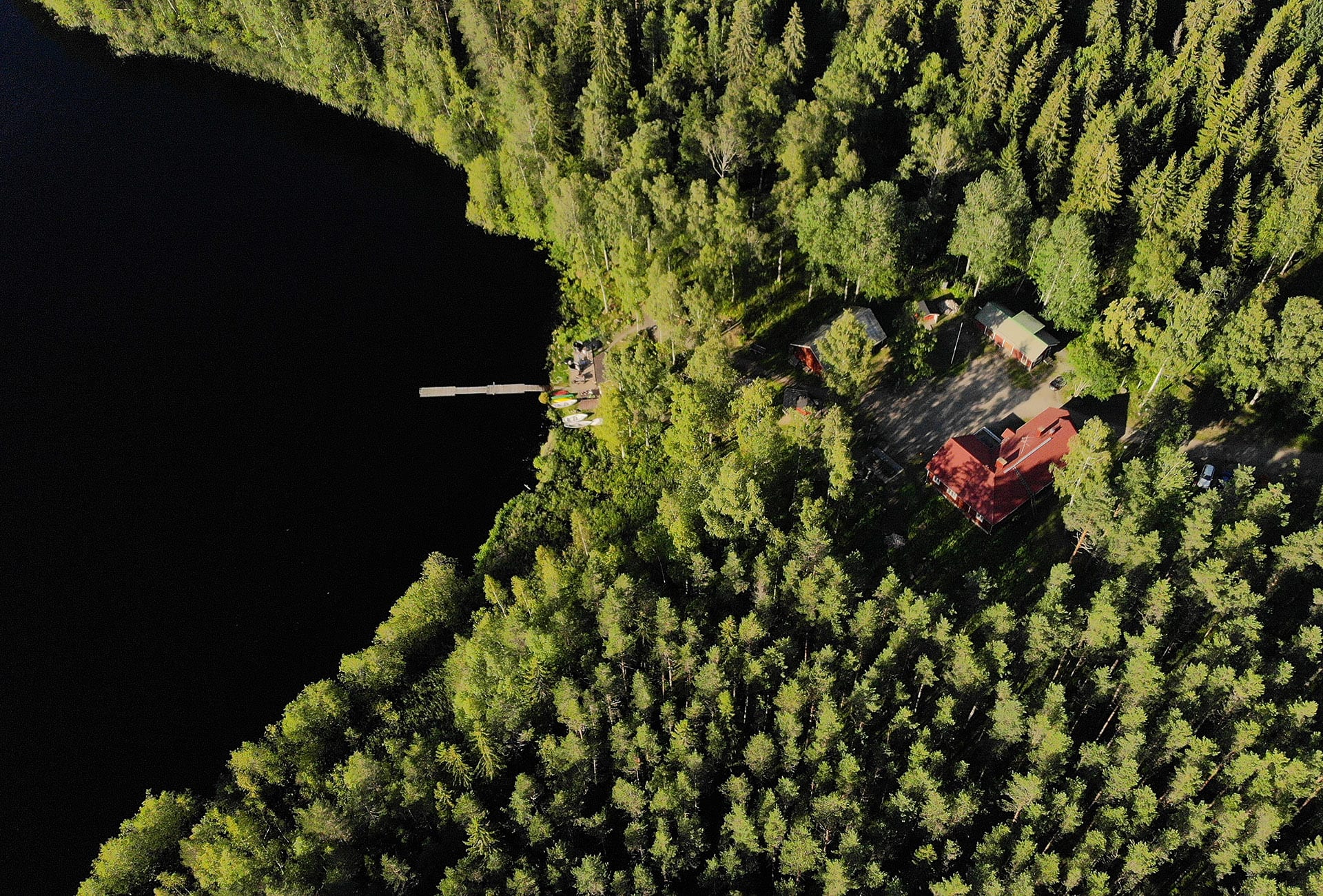 Neljä ihmistä kävelemässä suomaisemassa pitkospuilla, takana korkeita puita, joiden välistä pilkistää auringonsäteitä.