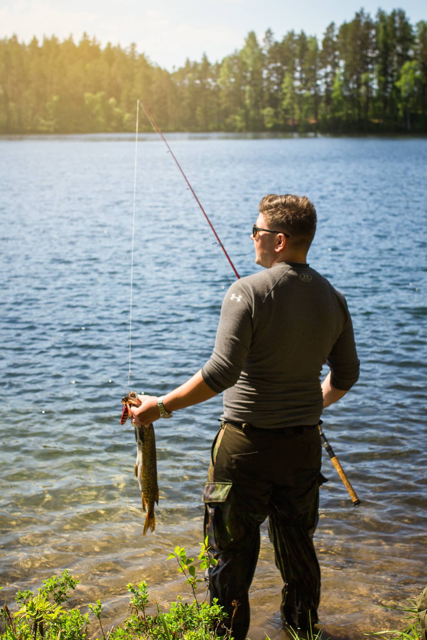 A man is standing in the lake shore. He has a big fish in his hand.