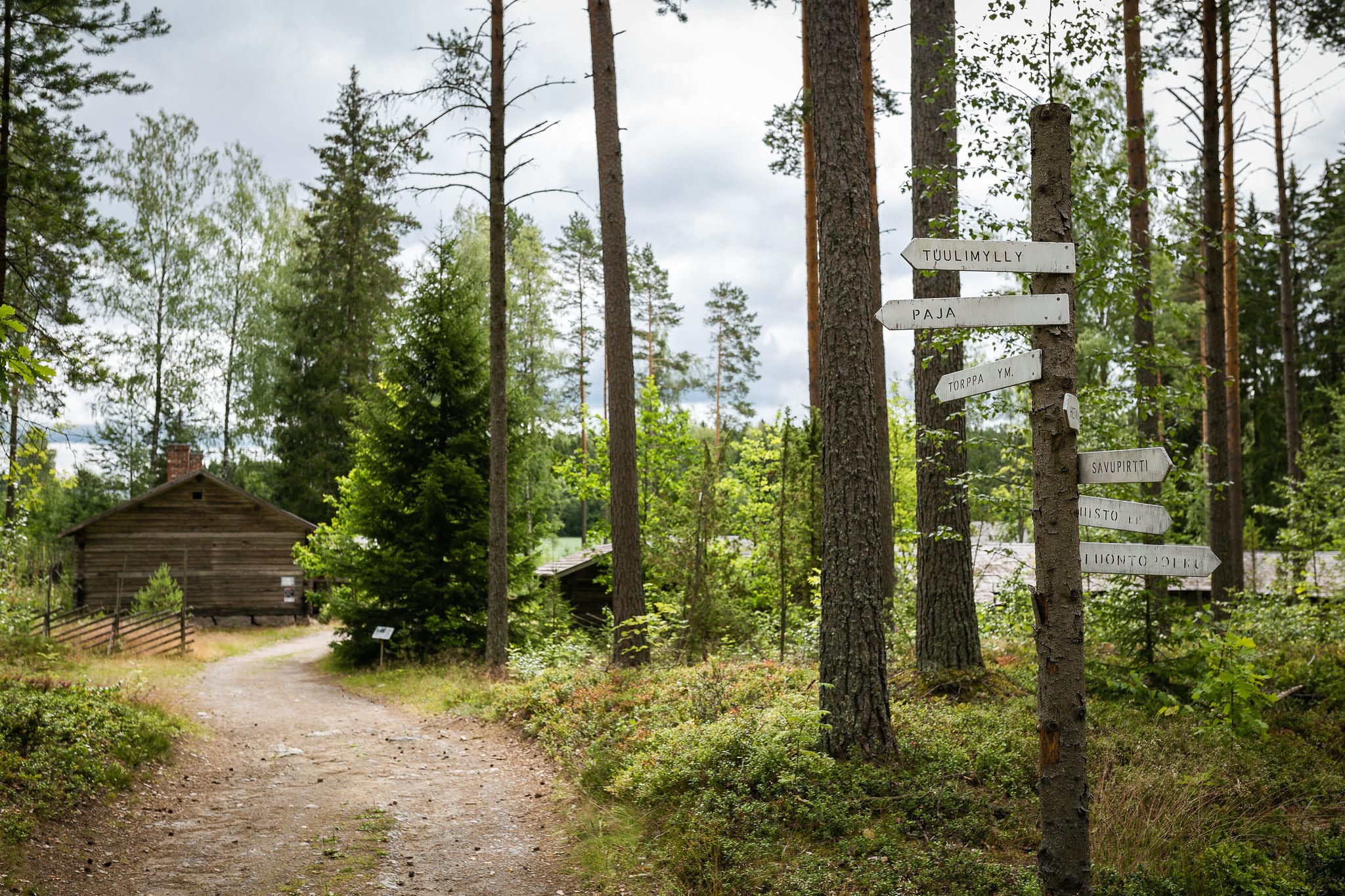 Leveä soratie johtaa metsän läpi hämäläiseen pihapiiriin.