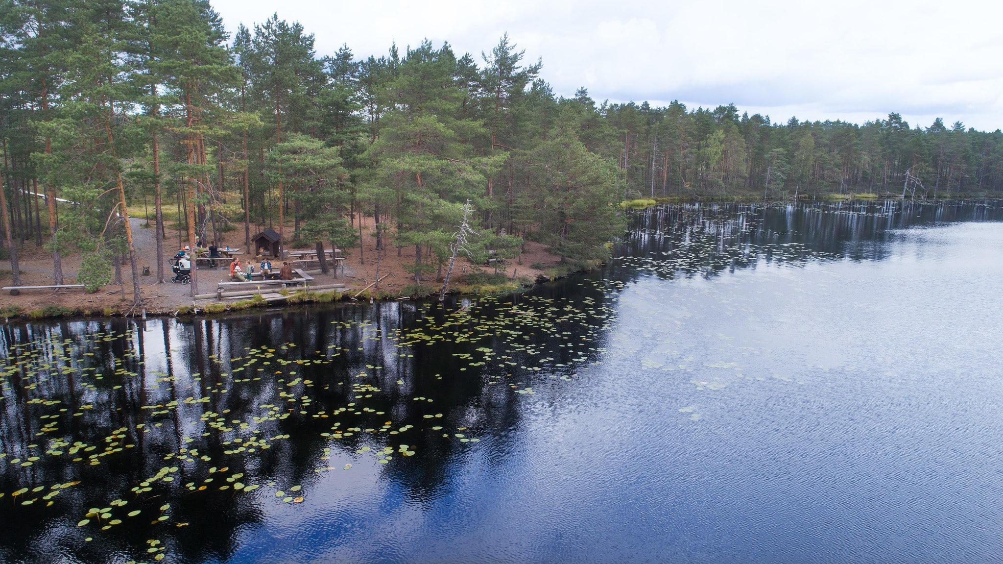 Metsäinen järven ranta, jossa näkyy ihmisiä nuotiopaikalla.