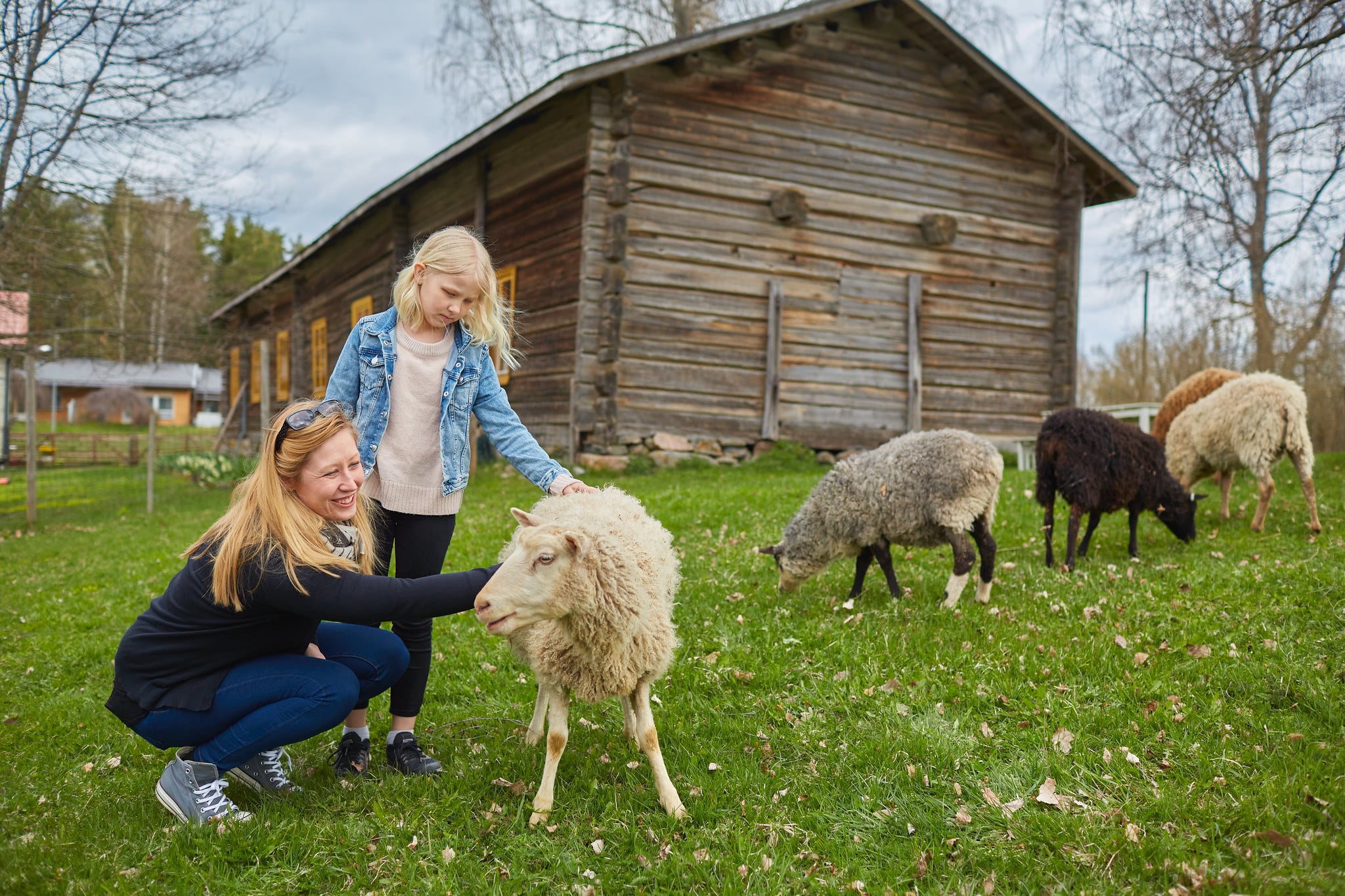 Mother and child petting a sheep