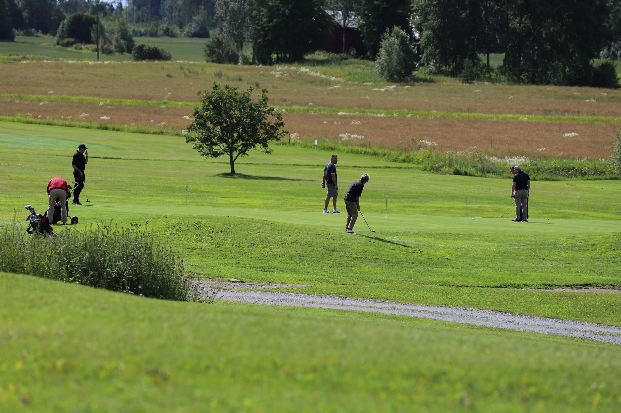 Mies on golfkentällä tekemässä lyöntiä. Kolme muuta ihmistä seisoo isolla golfkentällä myös.