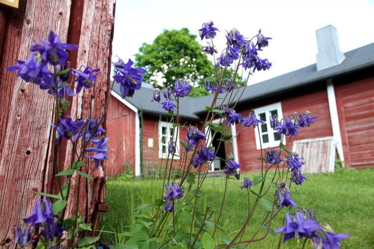 Factory worker´s home museum is located in Ronttismäki