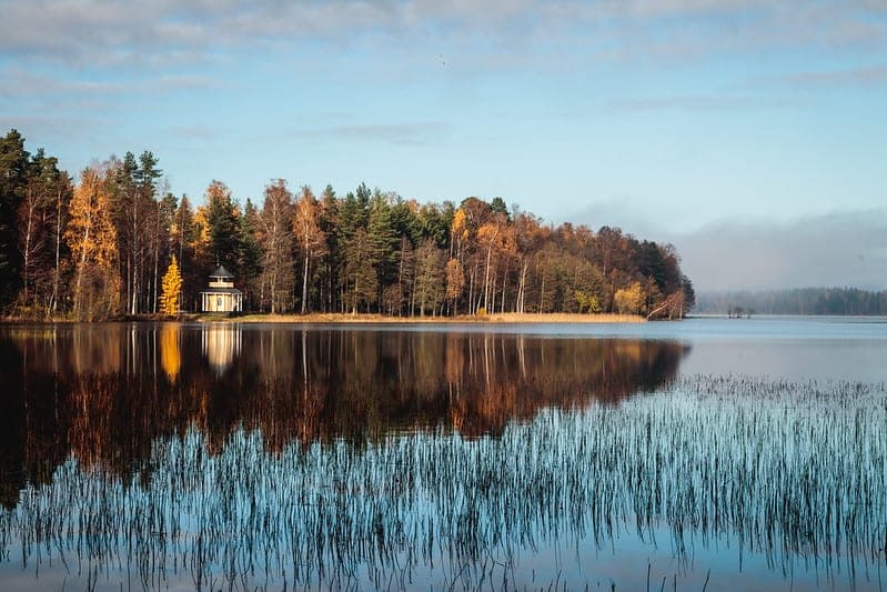 Järven rantaa reunustaa metsä.