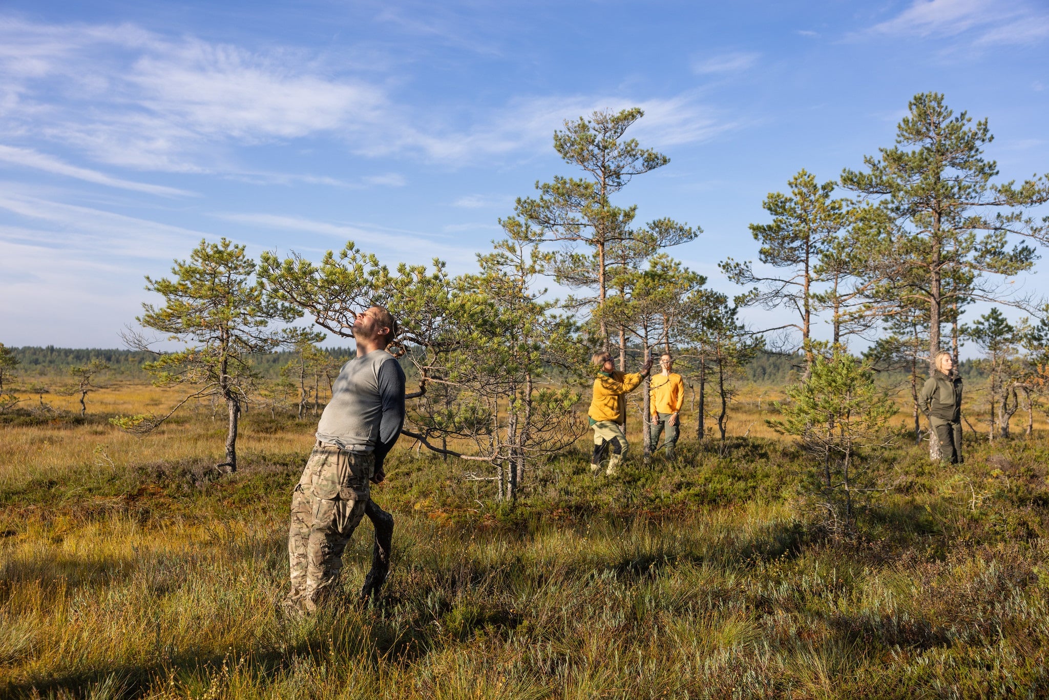 Four persons doing nature yoga in Torronsuo National Park