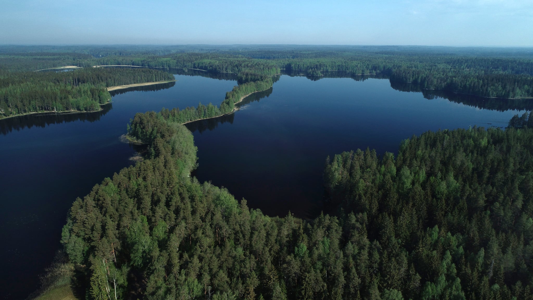 A scenic biew to a lake and forest.