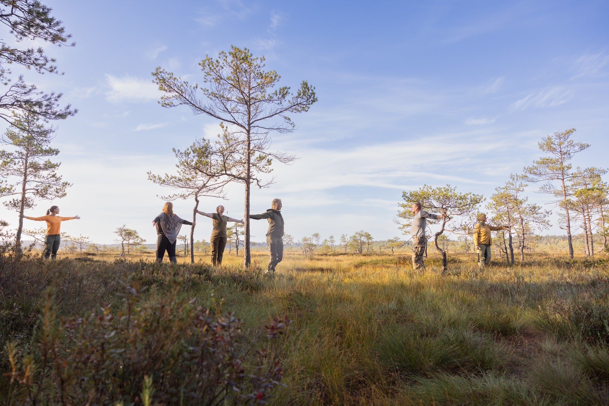 Nature yoga in Torronsuo National Park.