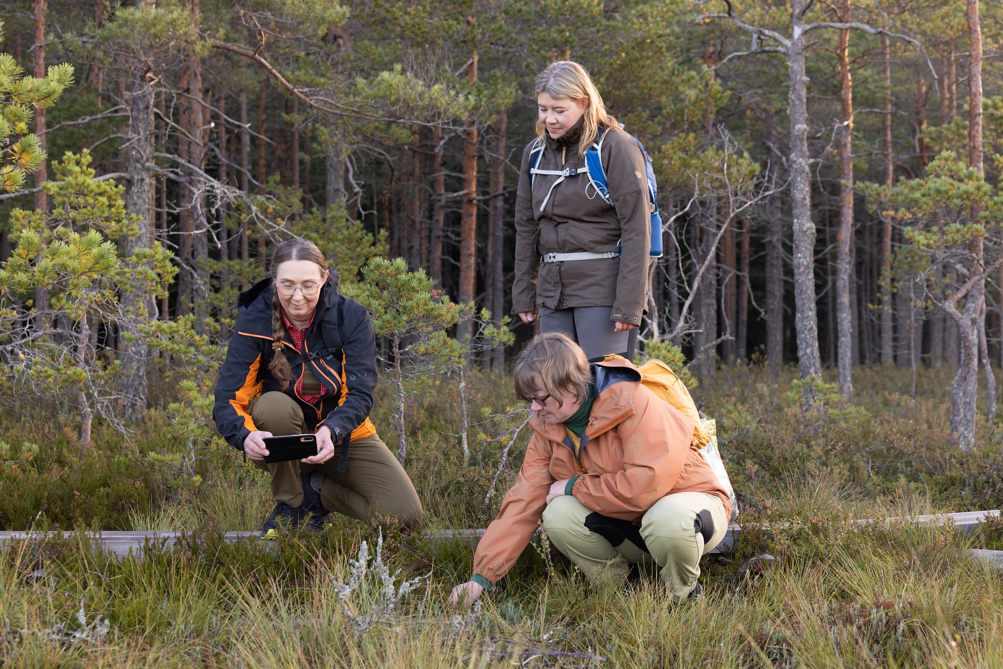 Three women are looking at the ground in a bog.