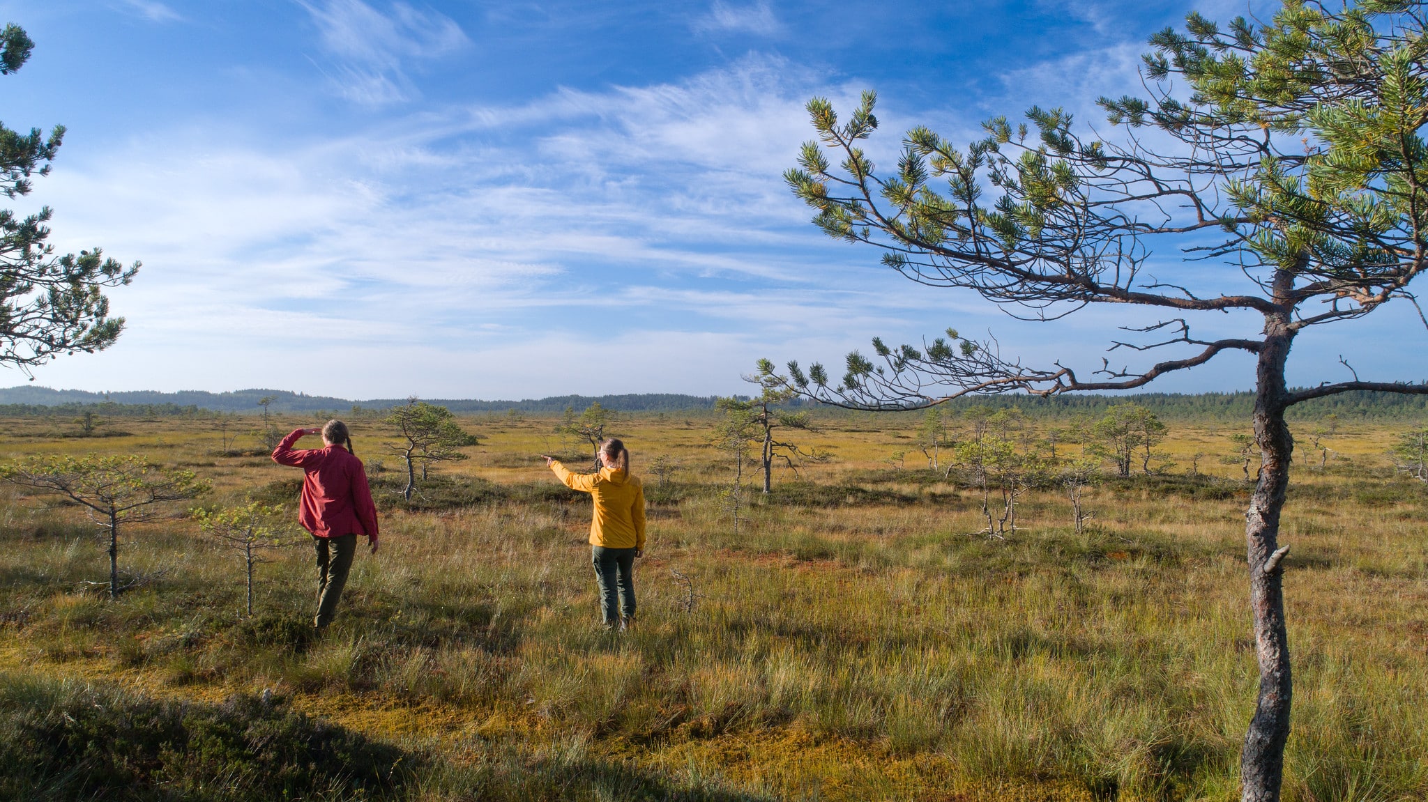 Two persons are standing on a vast bog.