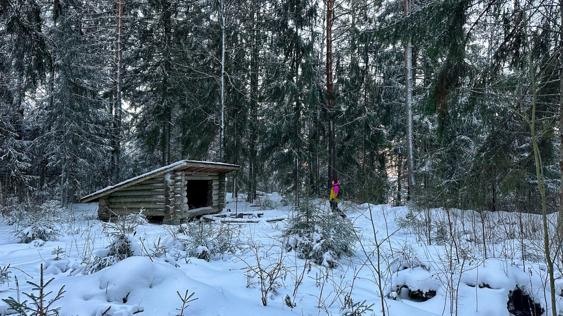 A woman is sitting by her tent in the forest