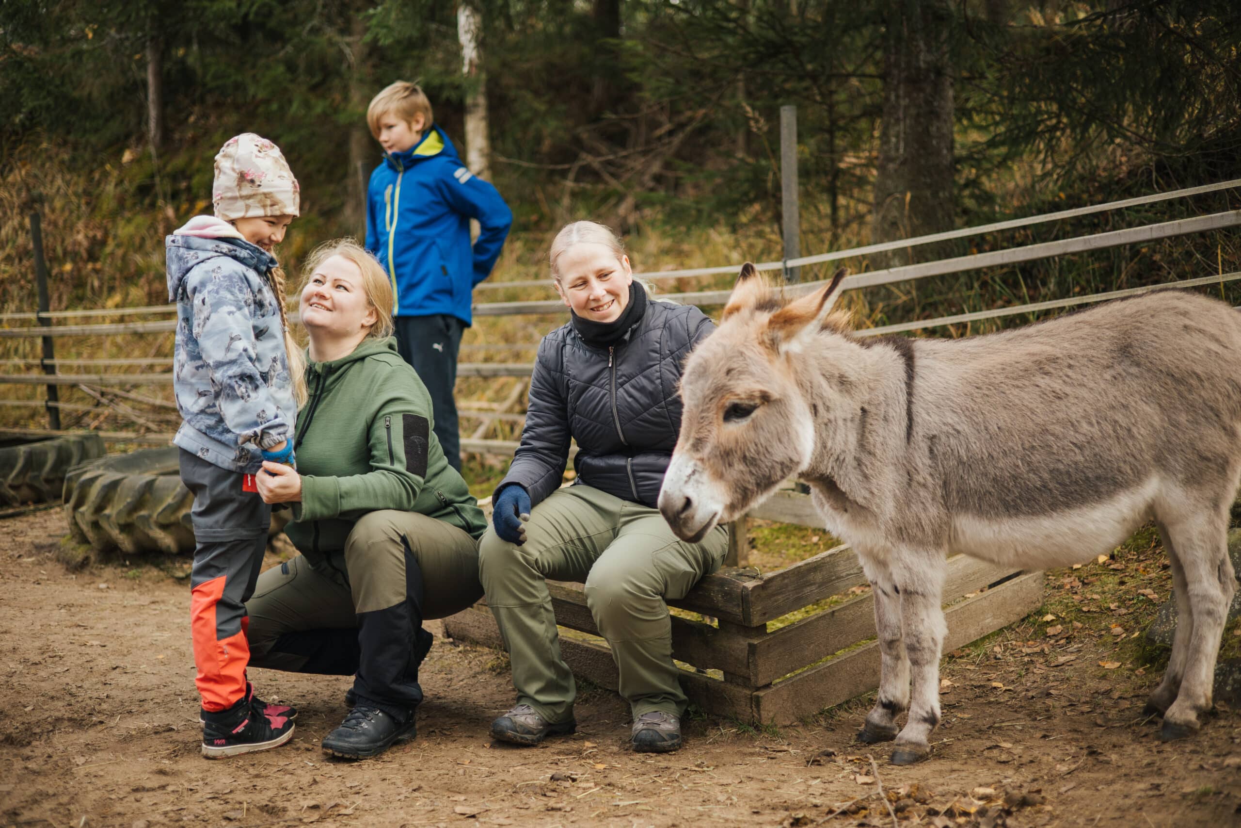 Pihapiirissä lapsen tutustumista aasiin