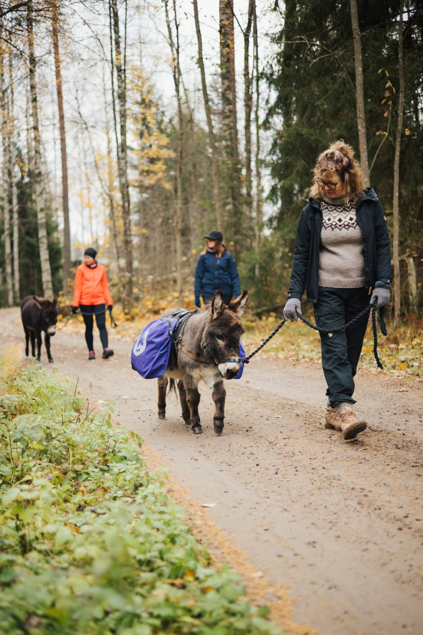 Metsäkävelyllä aasin kanssa