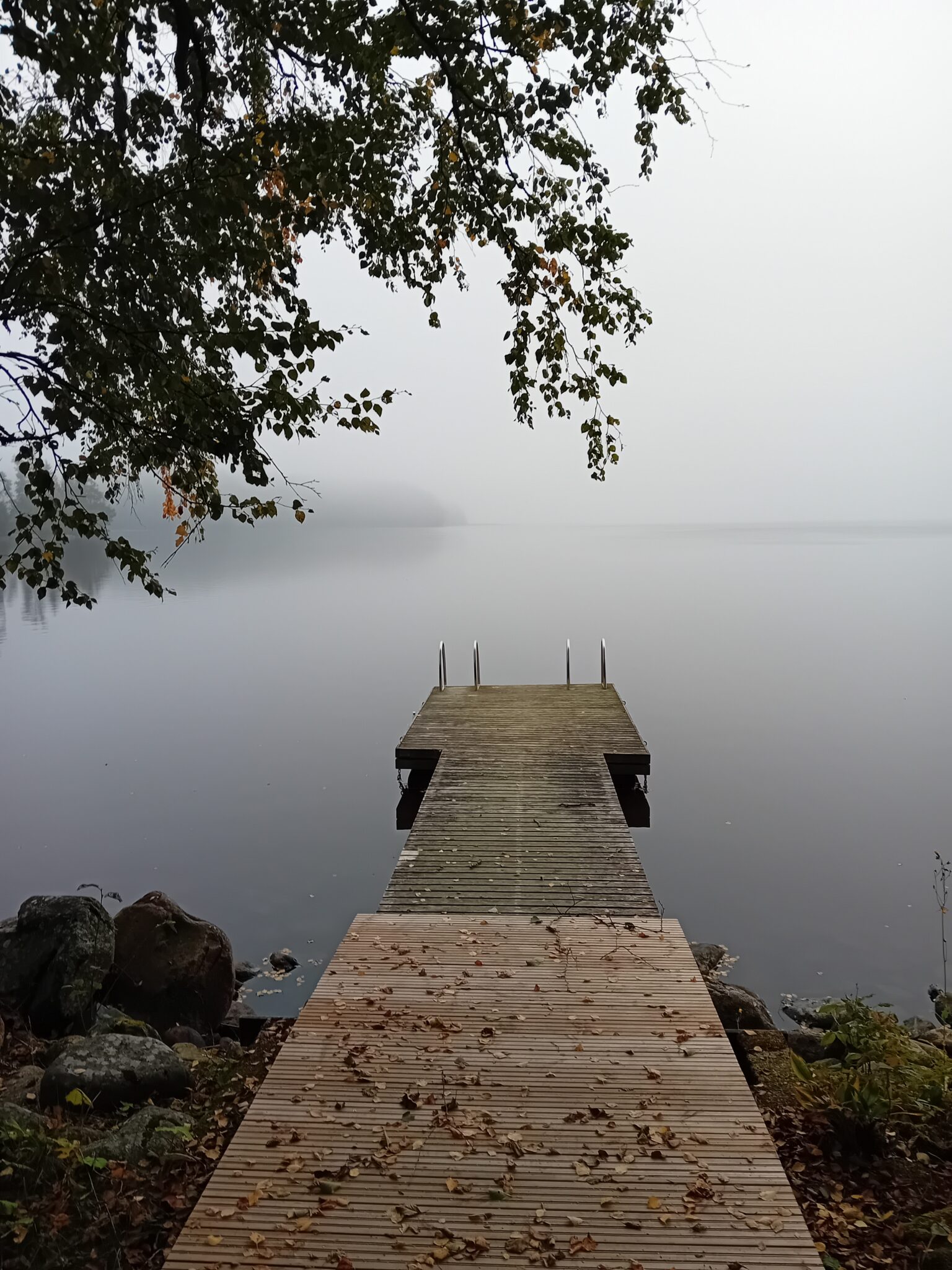 Laituri johtaa veteen ja järvellä on sumua.
