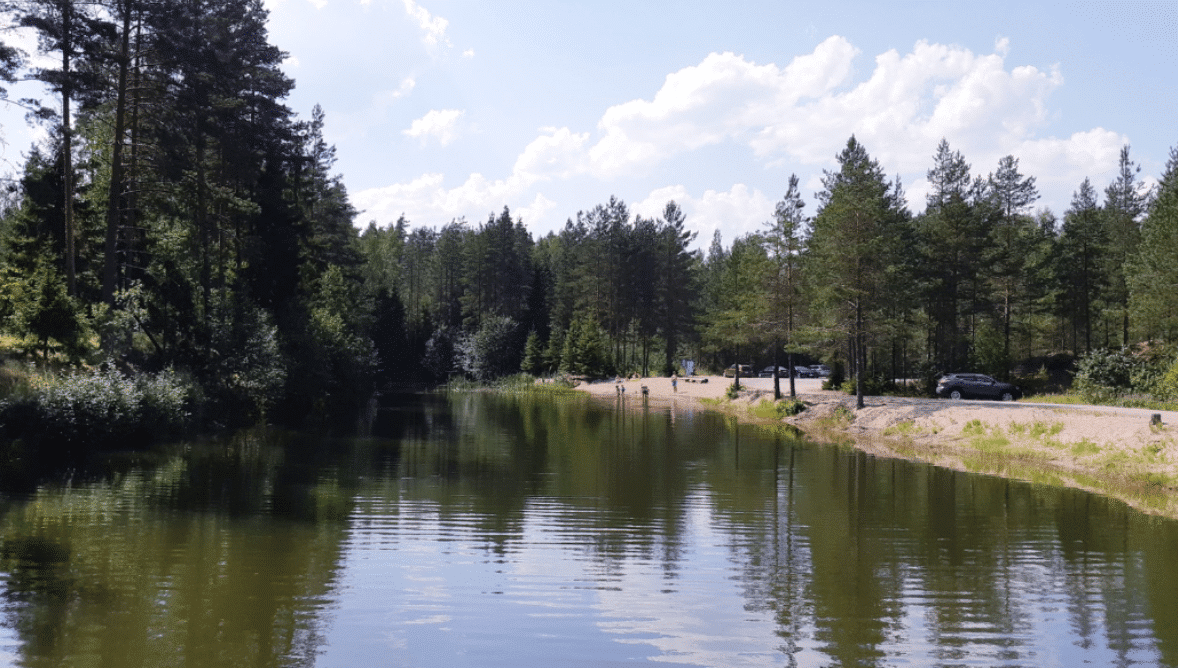 Havupuiden ympäröimä tyyni järvi.