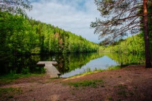 Metsän suojassa on laituri ja pieni järvi.