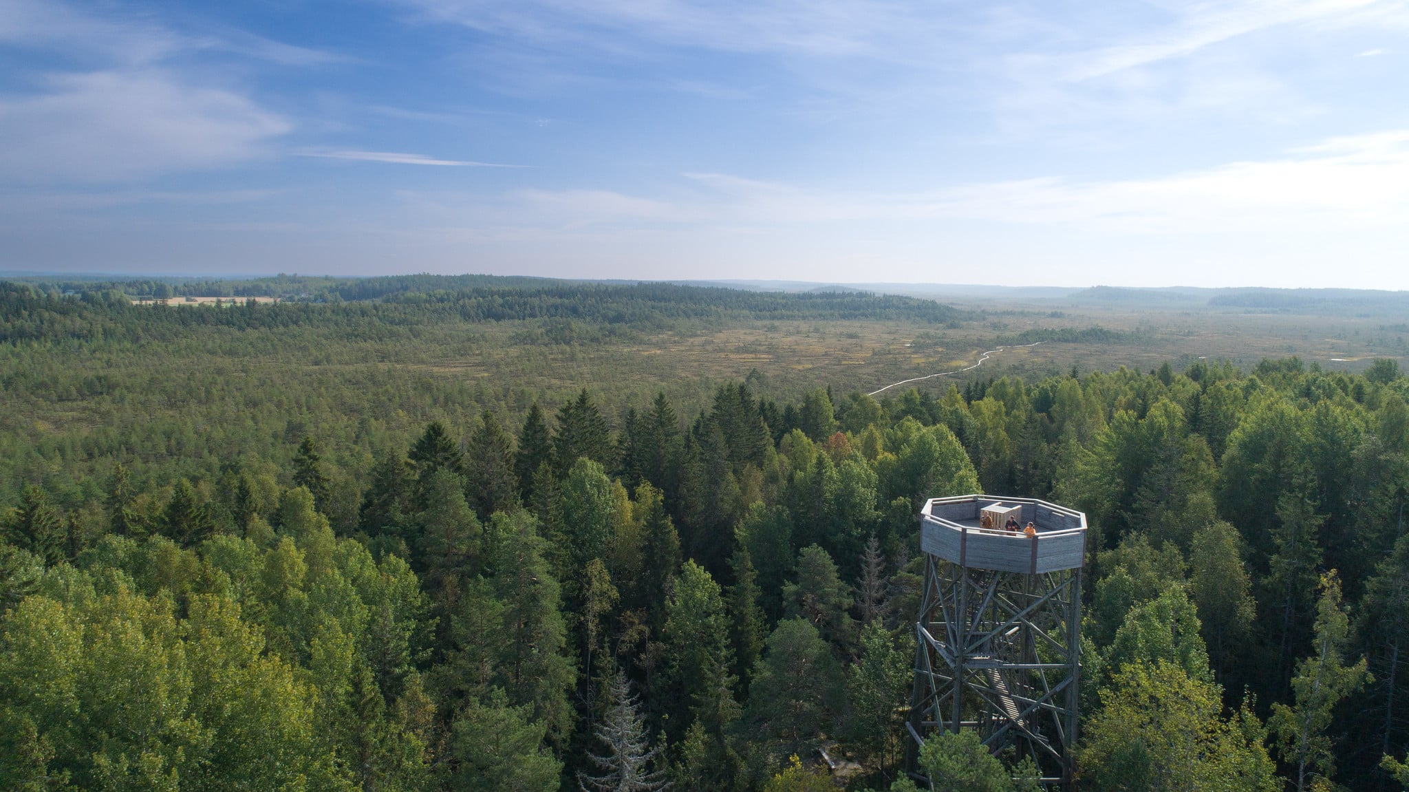 Ilmakuva metsästä ja suosta.