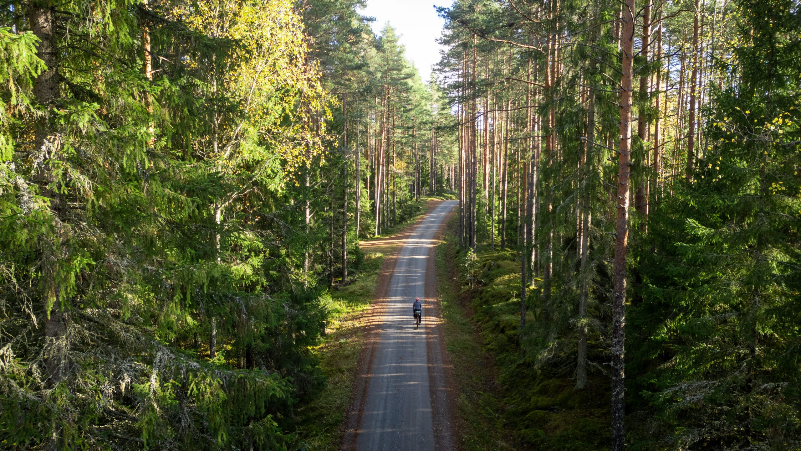 Pyöräilijä hiekkatiellä keskellä metsää.